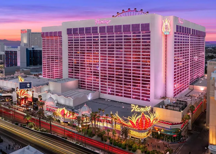3 star hotel: Flamingo Las Vegas Hotel & Casino